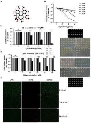 Antimicrobial photodynamic inactivation as an alternative approach to inhibit the growth of Cronobacter sakazakii by fine-tuning the activity of CpxRA two-component system